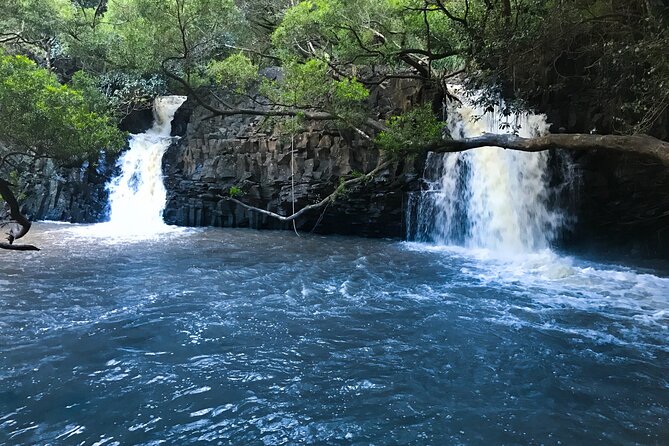 Full Day Private Maui Waterfall, Beach & Hana Tour - Puaa Kaa is the main waterfall stop