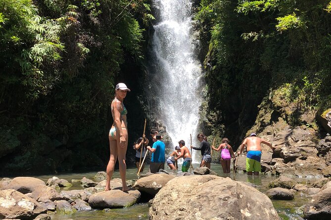 Full-Day Road to Hana and Waterfall Tour - Wai‘anapanapa is the signature stop
