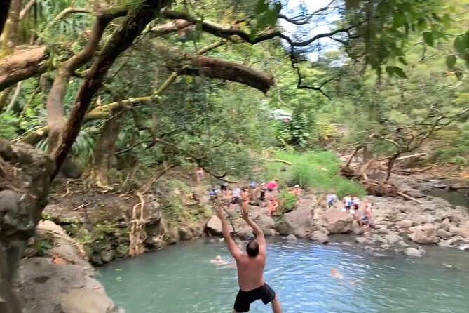 Full-Day Road to Hana and Waterfall Tour - Pua‘a Ka‘a offers a waterfall choice