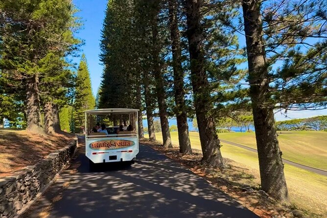 Fun & Affordable! West Maui Open-Air Sightseeing Tour! - What the $59 Price Really Buys