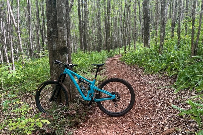 Fun Mountain Bike riding on trails in Maui Hawaii! - Why Maui’s Upcountry Trails Make a Good Ride