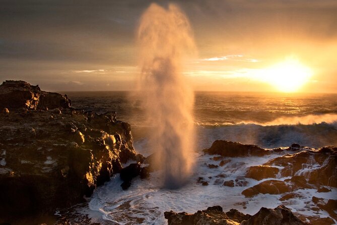 Fun! Open-Air Banyan Tree Forest & Blowhole Sight-Seeing MauiTour - Why this open-air tour works for a first look at West Maui