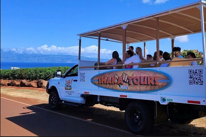 Fun! Open-Air Banyan Tree Forest & Blowhole Sight-Seeing MauiTour - Kapalua and the Honolua Bay lookout