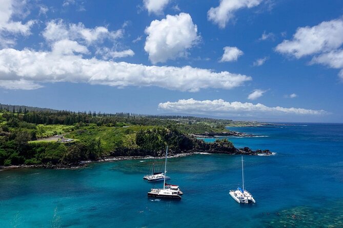 Fun! Open-Air Banyan Tree Forest & Blowhole Sight-Seeing MauiTour - West Maui Mountain views and the road itself