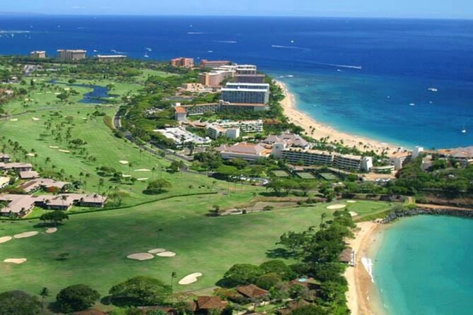 Fun! Open-Air Banyan Tree Forest & Blowhole Sight-Seeing MauiTour - Is $99 a fair price for 2 hours 15 minutes?