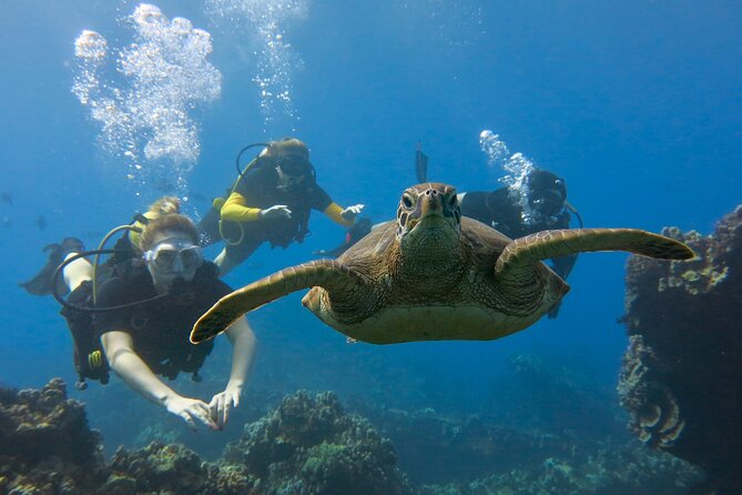Guided Scuba Dive in Lahaina: Certified - Why the instructors matter