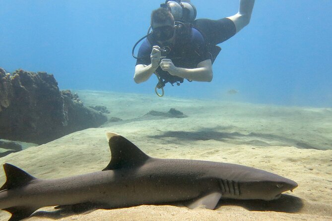 Guided Scuba Dive in Lahaina: Certified - Equipment, comfort, and the physical effort