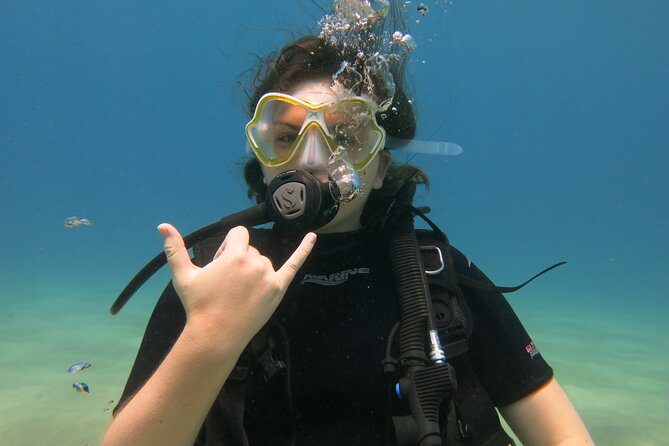 Guided Scuba Dive in Lahaina: Certified - Is $189 a fair price?