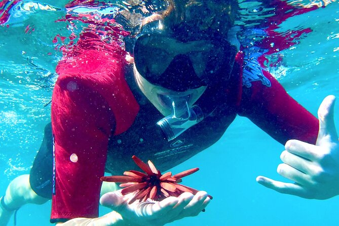 Guided Snorkeling for Beginners with Flotation Wetsuit - Key points to know before you book