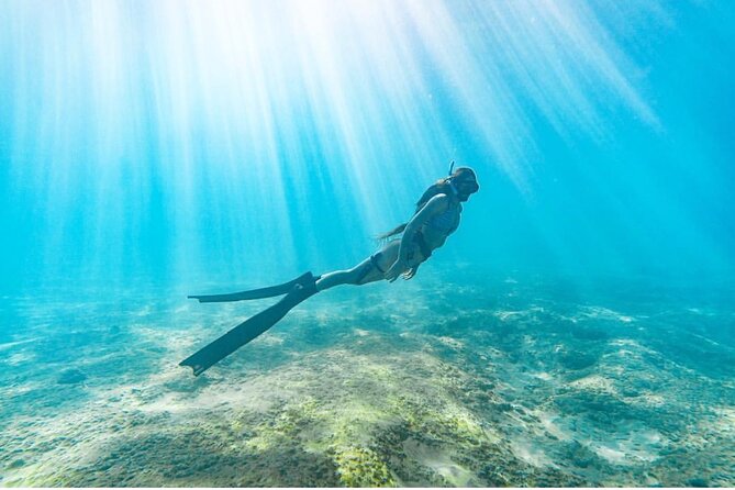 Guided Snorkeling for Beginners with Flotation Wetsuit - A two-and-a-half-hour pace for first-timers
