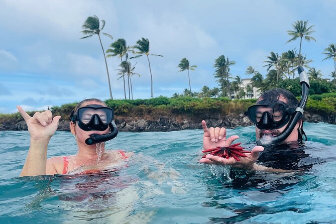 Guided Snorkeling for Beginners with Flotation Wetsuit - Who will get the most from this outing