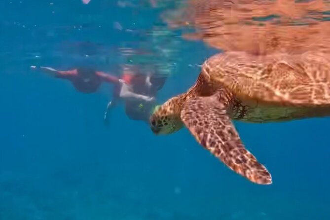 Guided Snorkeling for Beginners with Flotation Wetsuit - Small details that matter on the day