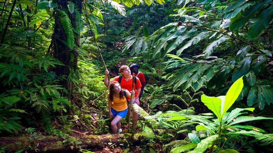 Haiku: Waterfall, Rainforest, and Handcrafted Chocolate Tour - Seeing the first waterfall on the Hana route