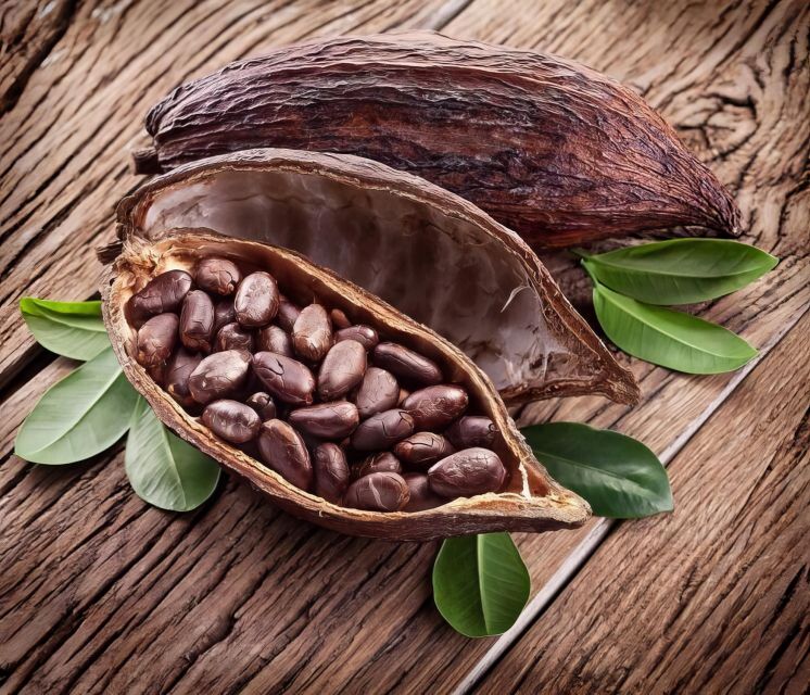 Haiku: Waterfall, Rainforest, and Handcrafted Chocolate Tour - What Ryan adds to the experience