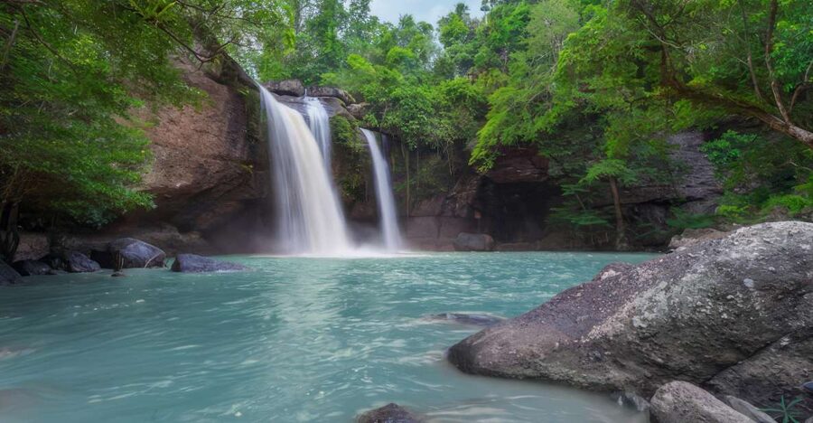 Haiku: Waterfall, Rainforest, and Handcrafted Chocolate Tour - The easy rainforest walk and giant ferns