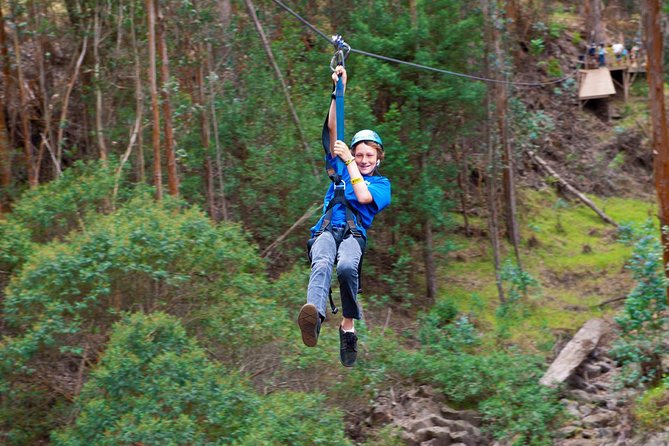 Haleakala 6 Line Zipline Adventure - Flying through Haleakala’s eucalyptus forest