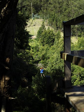 Haleakala 6 Line Zipline Adventure - More than an adrenaline ride