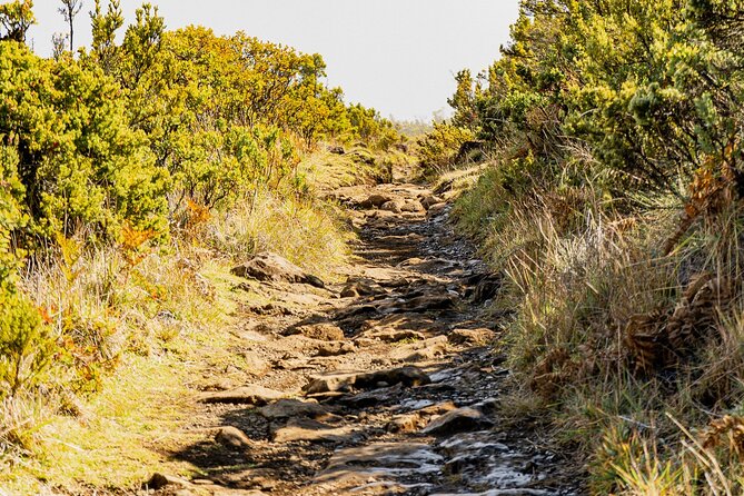 Haleakala Crater Hiking Experience - What the guides add to the experience