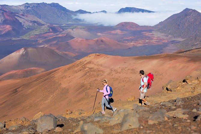 Haleakala Sunrise Self-Guided Audio Tour - Hosmer’s Grove breaks up the descent