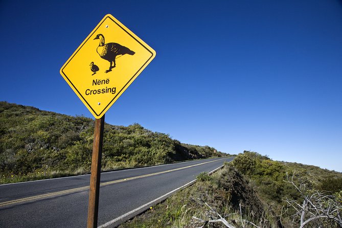 Haleakala Sunset and Stargazing Audio Tour - Red Hill is the payoff at 10,023 feet