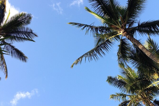 Haleakala Volcano Slingshot Tour from Lahaina - Before you leave Kaanapali