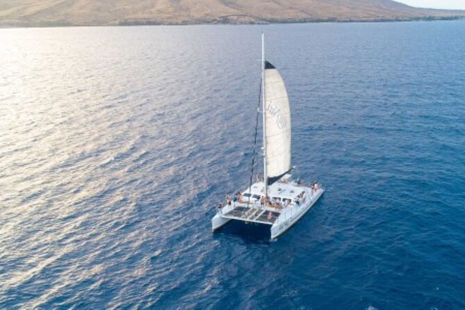 Half-Day Deluxe Molokini Snorkel Excursion in Maui - A 7:00 am Start From Maalaea Harbor