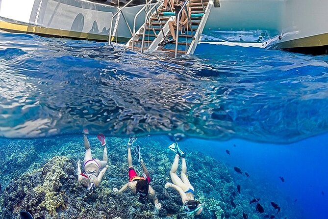 Half-Day Deluxe Molokini Snorkel Excursion in Maui - Summer Turtles and Winter Humpback Whales