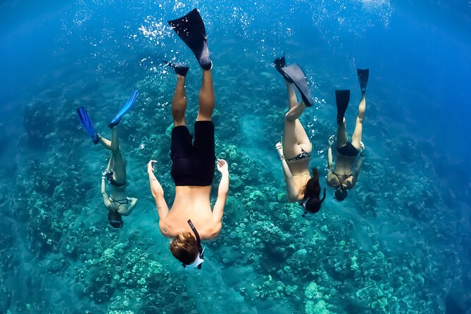 Half-Day Deluxe Molokini Snorkel Excursion in Maui - What the Catamaran Gives You Between Swims