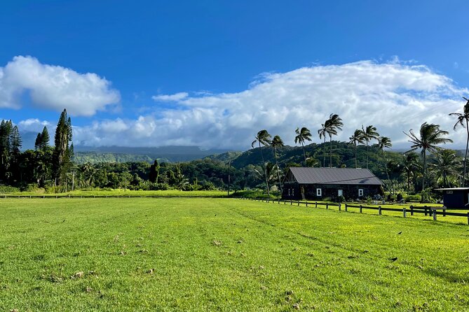 Half Day Private VIP Road to Hana Tour - Waikamoi Ridge offers a short forest break