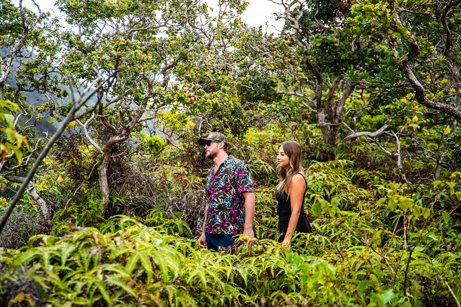Half Day Private VIP Road to Hana Tour - Ke‘anae Point is the place for banana bread