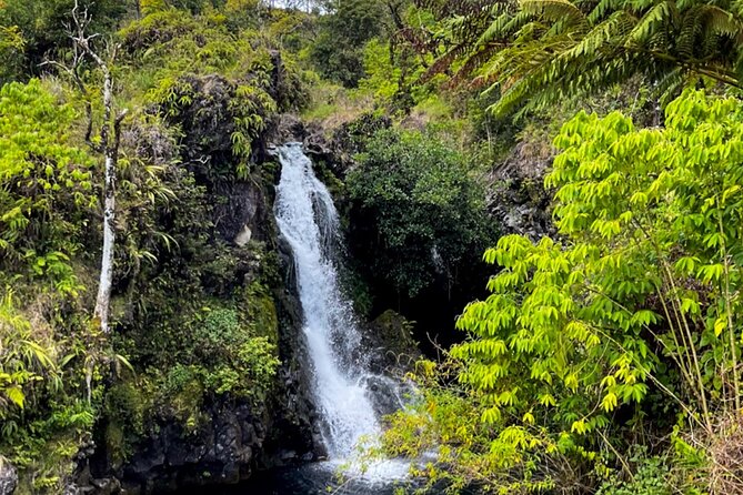 Half Day Private VIP Road to Hana Tour - Waiʻānapanapa’s black sand beach is the headline stop