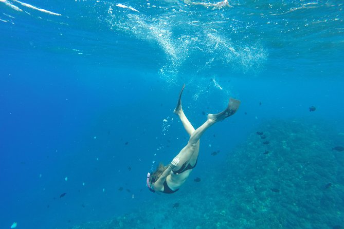 Half Day Snorkel to Lanai from Kaanapali Beach + Dolphin Search - Two Snorkel Stops Along Lanai’s Coast