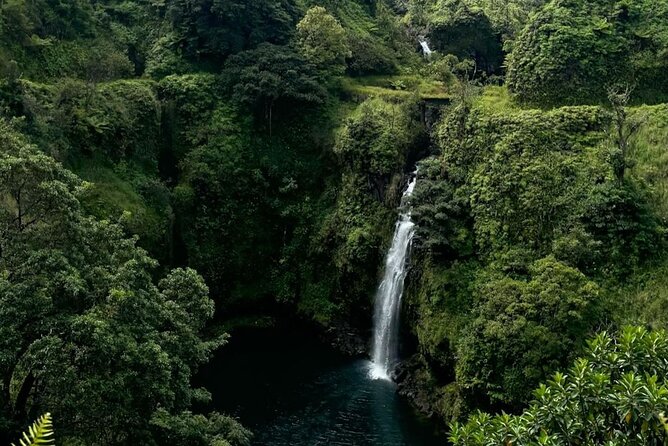 Halfway Road to Hana - Small Group — Taste of Hana & Waterfalls - A shorter way to experience the Hana Highway