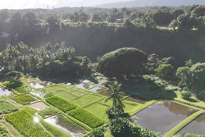 Halfway Road to Hana - Small Group — Taste of Hana & Waterfalls - Ke‘anae Peninsula and a taste of local life