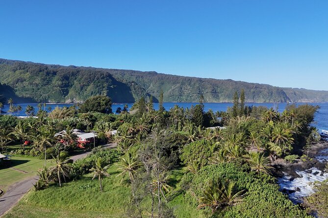 Halfway Road to Hana - Small Group — Taste of Hana & Waterfalls - Rainbow eucalyptus and the rainforest road