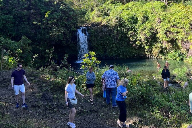 Halfway Road to Hana - Small Group — Taste of Hana & Waterfalls - Leaving Maui’s resort areas behind
