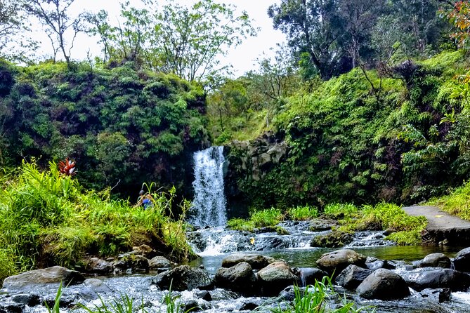 Halfway to Hana Tour of Maui Black Sand Beach Waterfalls Turtles - A small SUV makes the Hana Highway easier