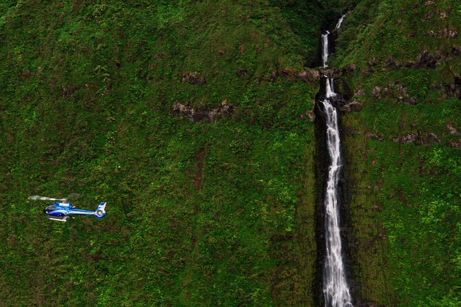 Hana Rainforest Scenic Helicopter Tour - Is $460.90 a fair price?