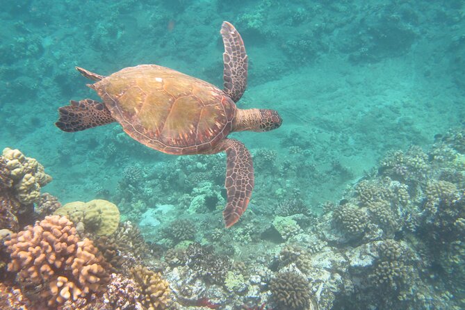 Hawaiian Canoe Sailing Experience in Maui - What the two-hour schedule feels like