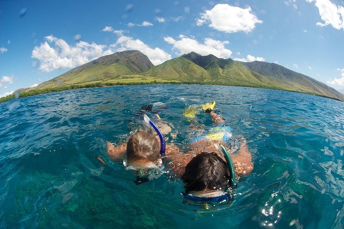 Hawaiian Outrigger Canoe Cultural and Turtle Tour - Timing, Wind, and Cancellation Details