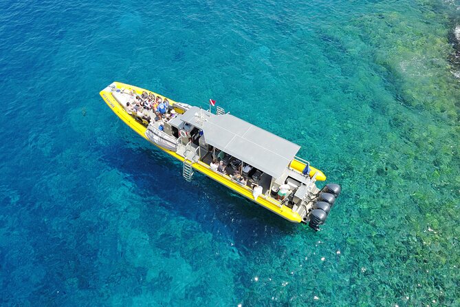 HIGH QUALITY Whale Watch Adventure Aboard Luxury Super Raft - Who will enjoy this trip most