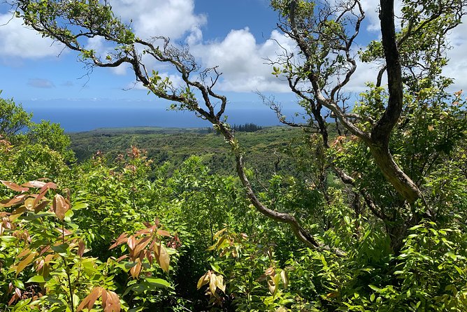 Hike Honolua Ridgeline - Entering Maui’s private conservation lands