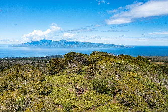 Hike Honolua Ridgeline - What the guide adds to the forest