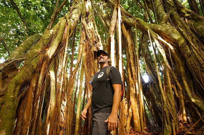 Hike Honolua Ridgeline - The slippery sections and the real level of effort