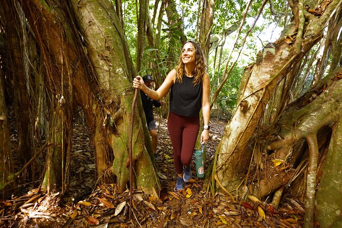 Hike Honolua Ridgeline - A two-mile route with room to look around
