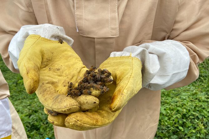 Honey Bee Adventure at the Maui Honey Bee Sanctuary - Honey tasting at the farm stand