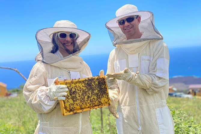 Honey Bee Adventure at the Maui Honey Bee Sanctuary - Seeing honey-making as a working process