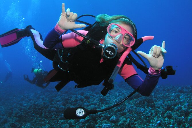 Intro/Refresher Dive Swim Ability Required - What this Maui scuba lesson is really like
