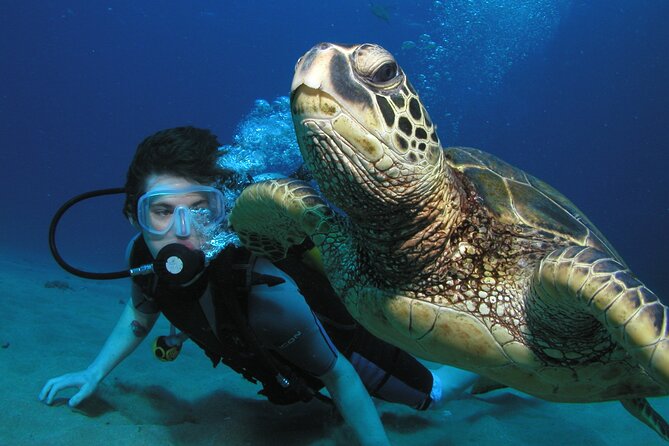 Intro/Refresher Dive Swim Ability Required - Learning the basics before entering the water