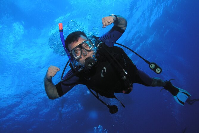 Intro/Refresher Dive Swim Ability Required - Why the $239 price may be fair